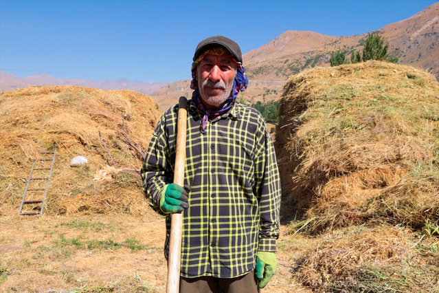 Hakkari'de besiciler kışlık yem hazırlığında otları patozdan geçirip depoluyor