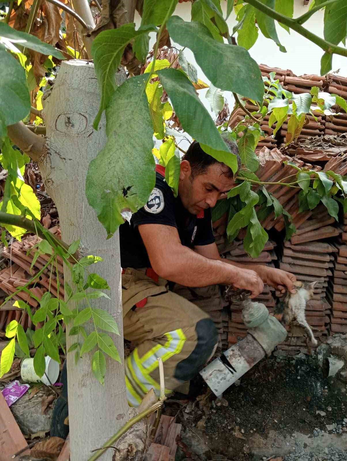 Hatay İskenderun\'da vanada mahsur kalan yavru kedi sanayideki müdahaleyle kurtarıldı