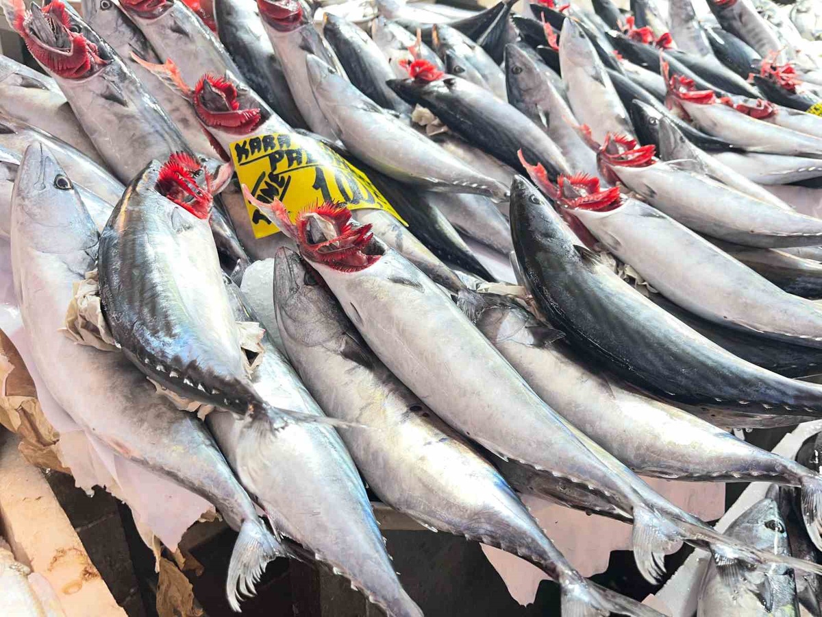 Ege\'de av bereketi İzmir tezgahlarına yansıdı, palamut tanesi 100 liradan satılıyor