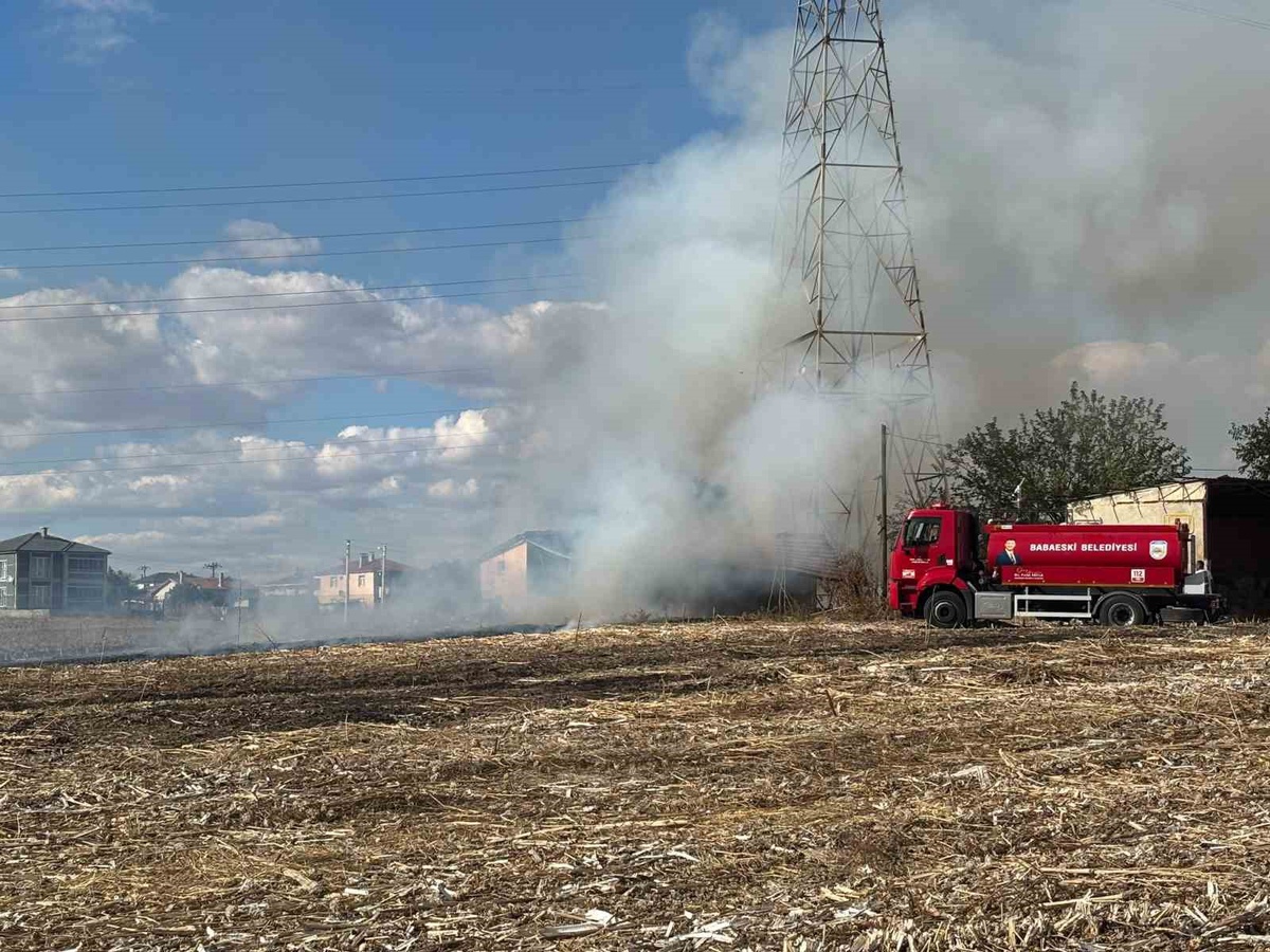 Kırklareli Babaeski\'de hayvan çiftliğinde çıkan yangın itfaiye ekiplerince söndürüldü