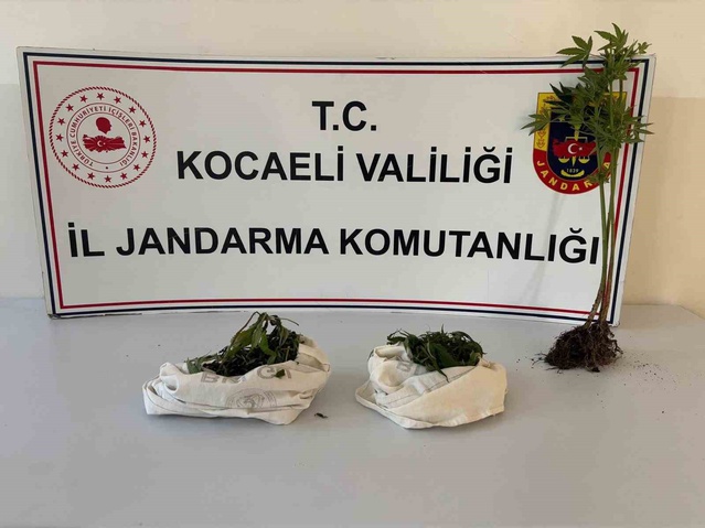 Kocaeli'de uyuşturucu operasyonu düzenlendi, 1 kilo 37 gram kubar esrar ele geçirildi