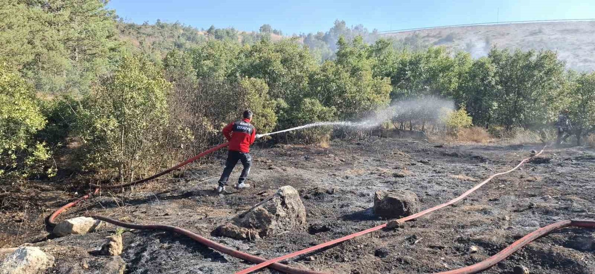 Kütahya Emet\'te dağlık alanda çıkan orman yangını ekiplerin müdahalesiyle söndürüldü