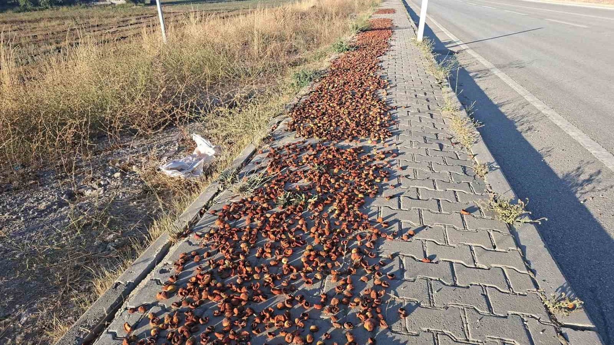 Kütahya Hisarcık\'ta elma kurutanlar kaldırımı kullanınca yaya geçişi etkilenebiliyor