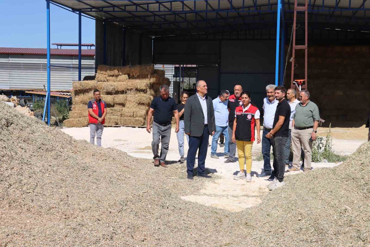 Muğla Yatağan\'da Hasat Şenliği düzenlendi, Kaymakam İlhan üreticilerle buluştu