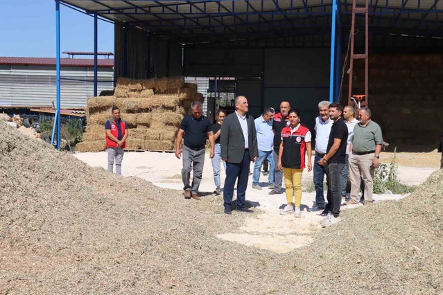 Muğla Yatağan'da Hasat Şenliği düzenlendi, Kaymakam İlhan üreticilerle buluştu