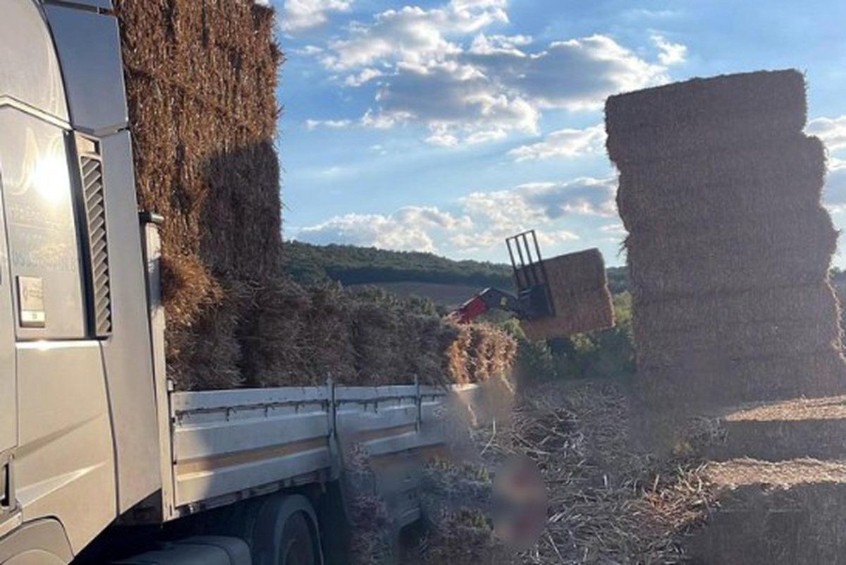 Tekirdağ Malkara\'da 500 kiloluk saman balyalarının altında kalan adam öldü