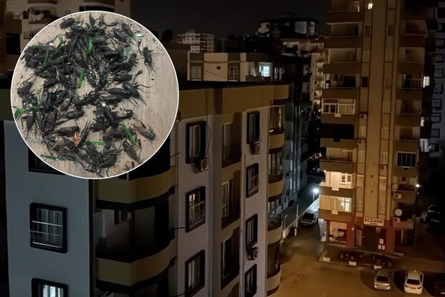 Şehirde kimse uyuyamıyor! Ses geceleri 100 desibele çıkıyor