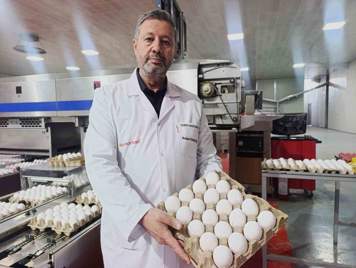Afyonkarahisar yumurta üreticileri hammadde için Tahıl Koridoru\'na umut bağladı