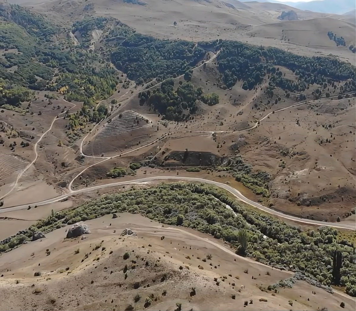 Bayburt Orman İşletme Müdürlüğü 3 projede 415 hektara 118 bin fidan dikecek