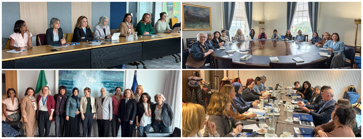 DEM Parti heyeti Belfast ve Dublin\'de kadınların çözüm sürecine katılımını ele aldı