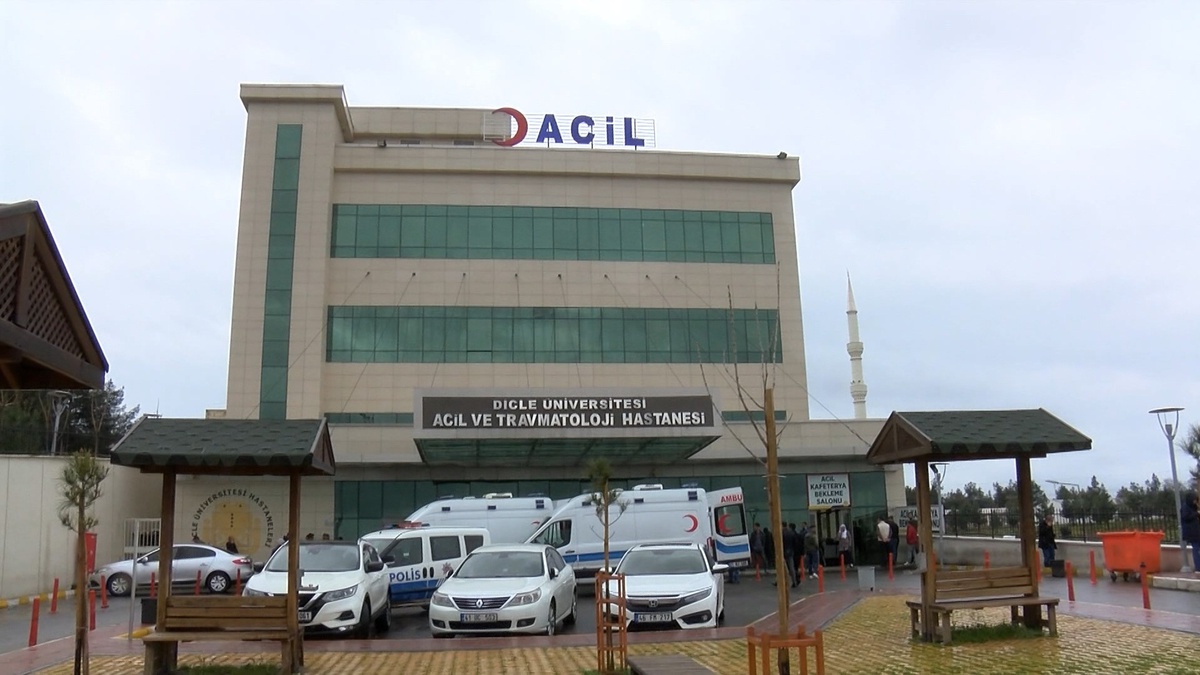 Diyarbakır-Bingöl kara yolunda devrilen otomobilde 4\'ü çocuk 9 kişi yaralandı