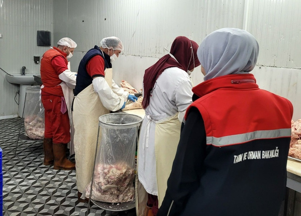 Erzurum\'da bir haftada 458 gıda işletmesi denetlendi, 5 gıda numunesi alındı
