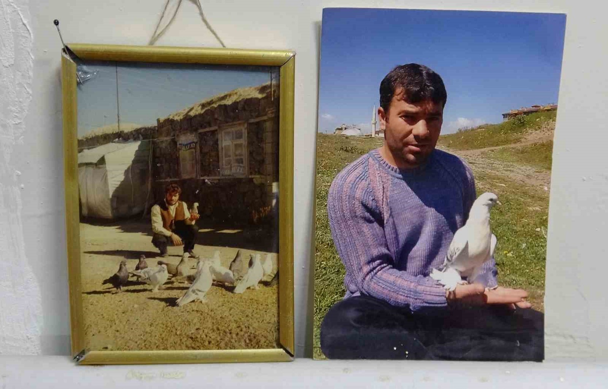 Erzurumlu Muğdat Gültekin\'in 6 güvercininin değeri 600-700 bin lirayı buluyor