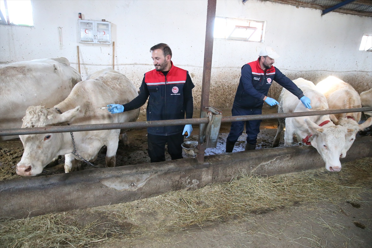 Kars\'ta 100 kişilik aşı ekibi 9 ayda 1 milyon 870 binden fazla doz uyguladı