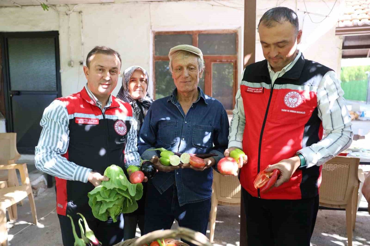 Muğla Menteşe\'de yayla kavunu ile ata tohumu sebzelerin hasadı yapıldı.