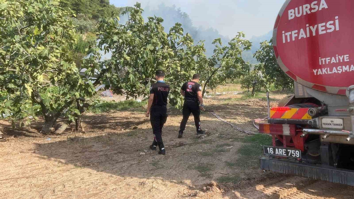 Mudanya\'da ateş ağaçları tutuşturdu, Yunus Timleri yangını büyümeden söndürttü