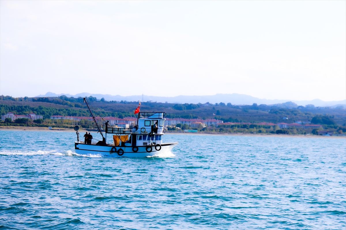 Sakarya Kocaali\'de palamut bolluğu yaşanıyor, tekneden çifti 100-120 lirayı buluyor