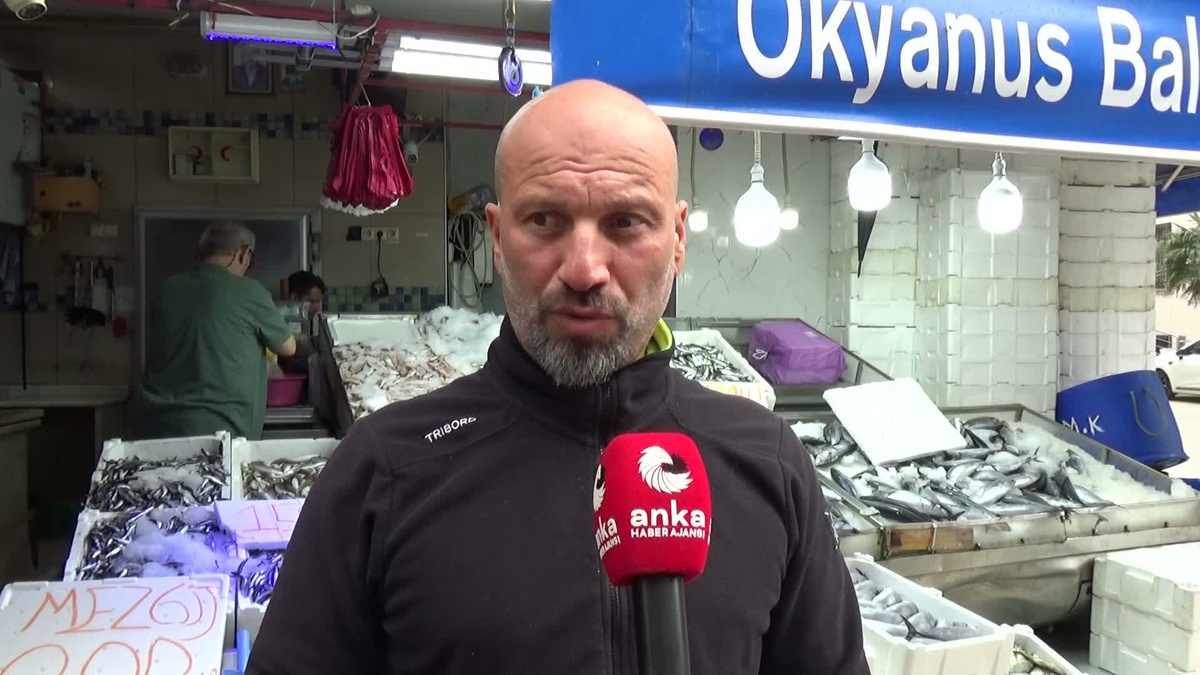 Sinop\'ta 25 günde palamut avı bereketli çıktı ama mazot gideri balıkçıyı zorladı