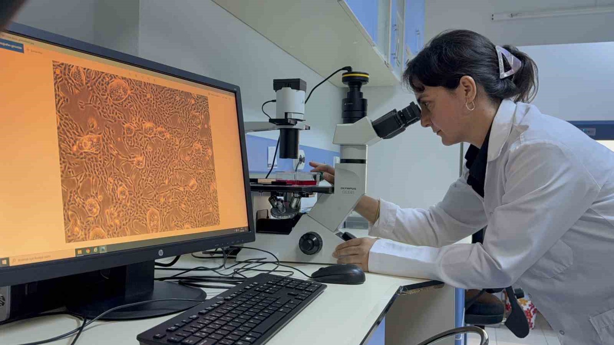 TOGÜ\'lü Doç. Dr. Tosun\'un akıllı ilaç taşıyıcı projesi TÜSEB desteği kazandı