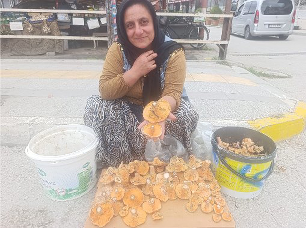 Çorum Osmancık Yoğurt Pazarı\'nda kalınca mantarının kilosu 200-250 TL\'ye satılıyor.