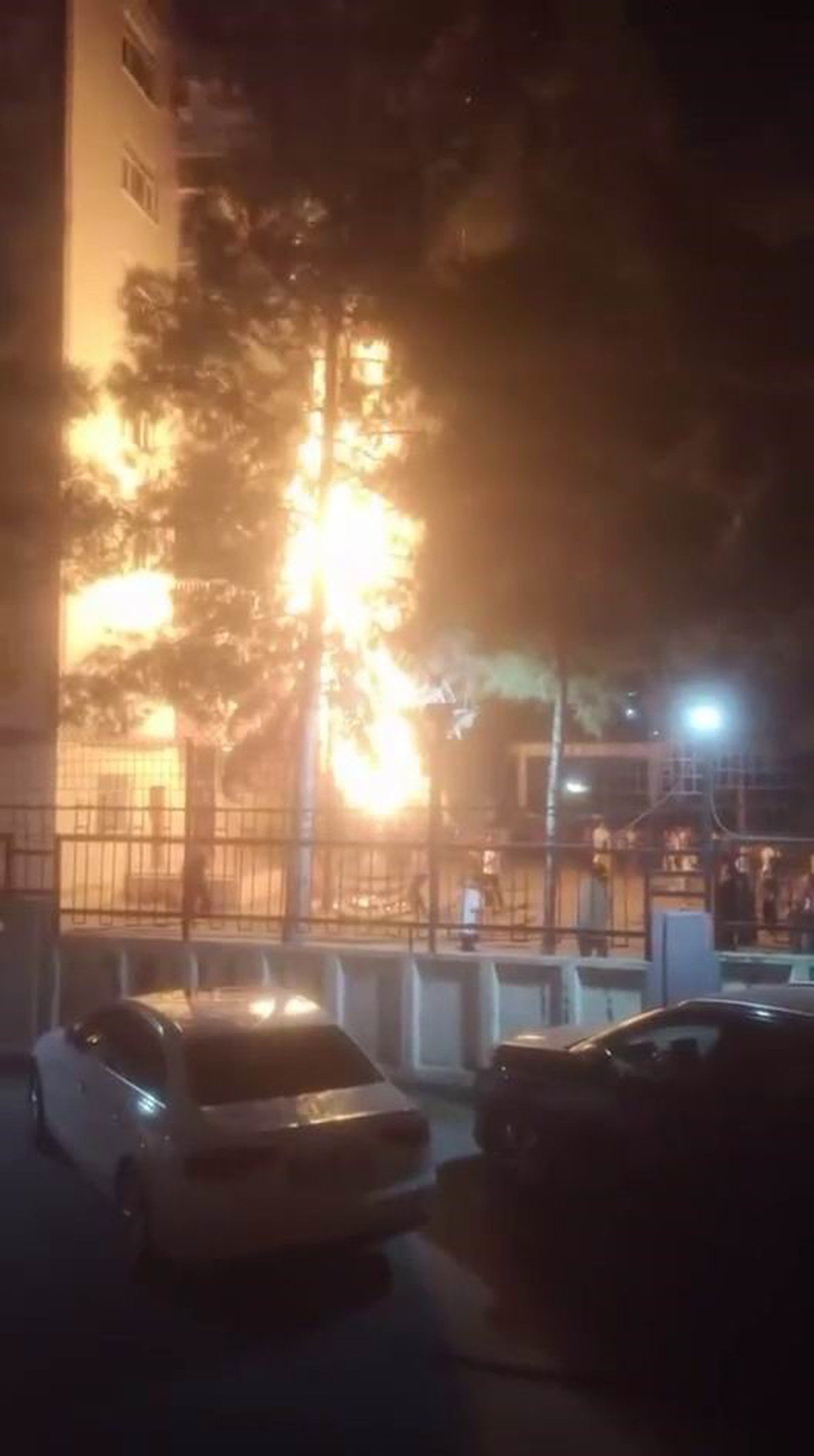 Diyarbakır Kayapınar\'da havai fişek ağacı yaktı, yangın evlere sıçramadan söndürüldü