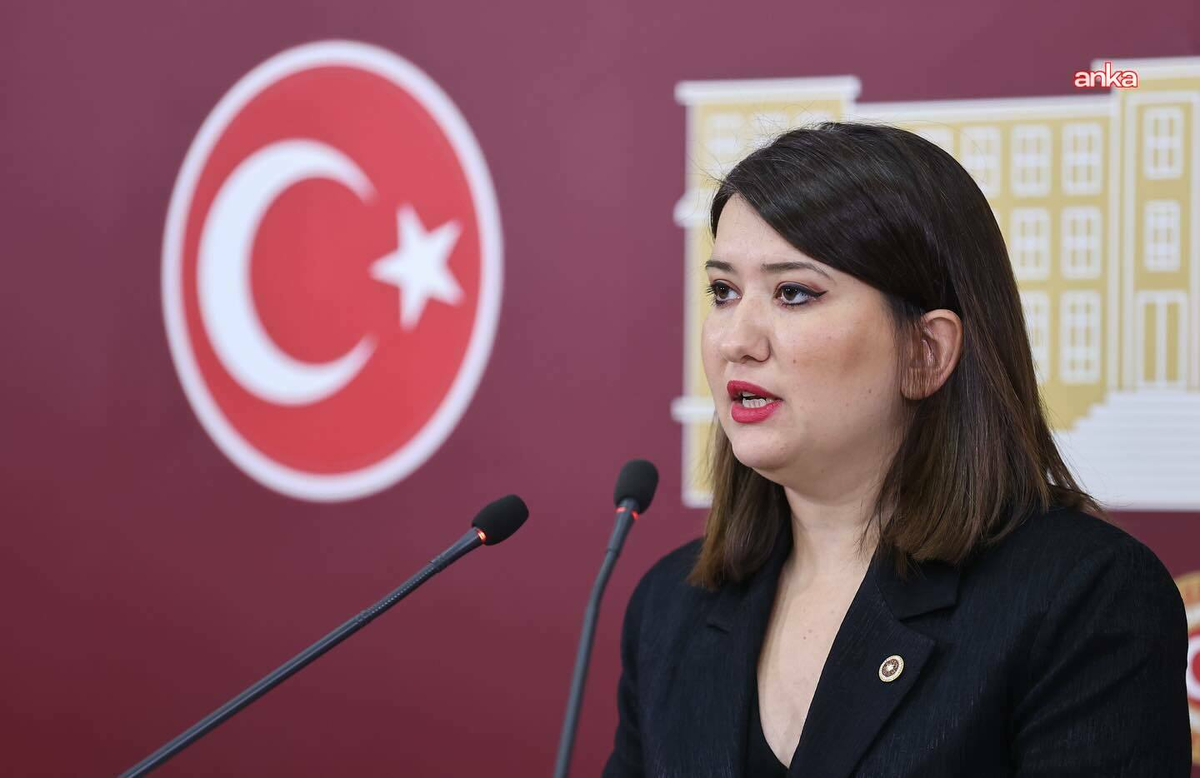 Gökçen, eski Bakan Kaya\'nın affını istemesini eleştirdi, kamu kaynağı hesabını sordu