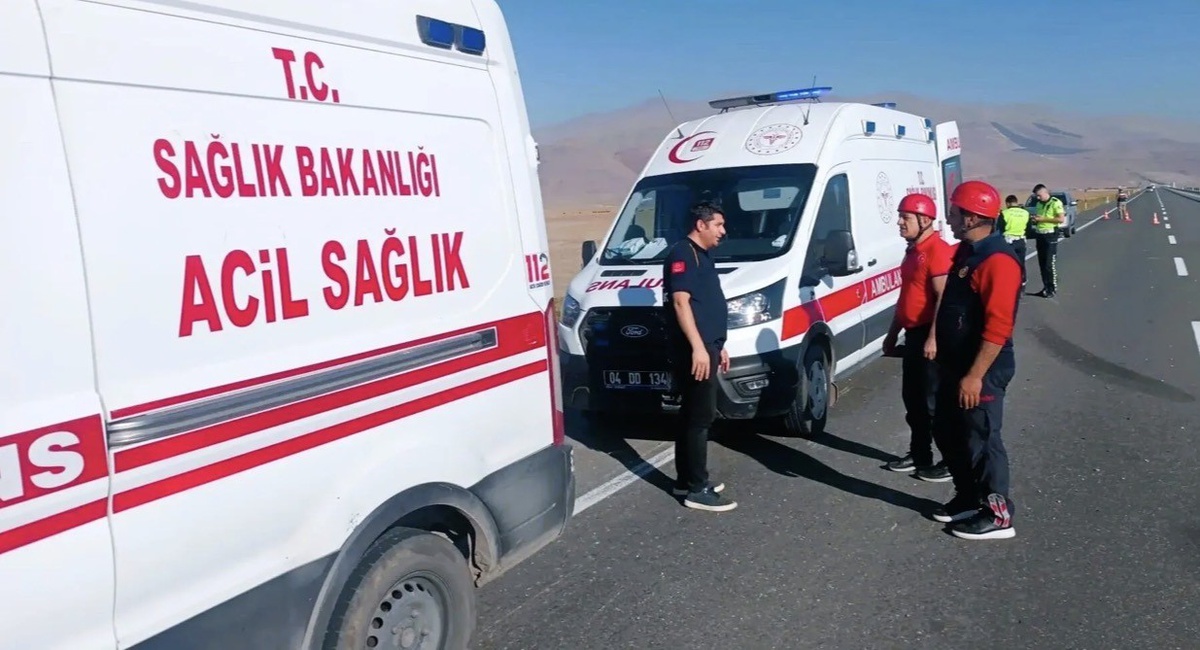 Iğdır\'da eşeğe çarpmamak için manevra yapan kamyon kaza yaptı, 2 kişi yaralandı