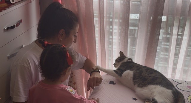 Tek başına 4 hırsızı püskürttü! 4 kez denediler ama taviz vermedi
