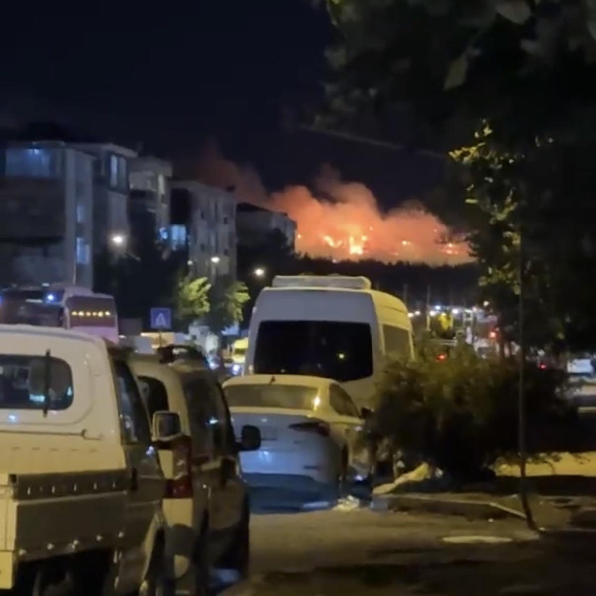 Kırklareli Lüleburgaz\'da otluk yangın ağaçlık alana sıçradı, 2 saatte söndürüldü