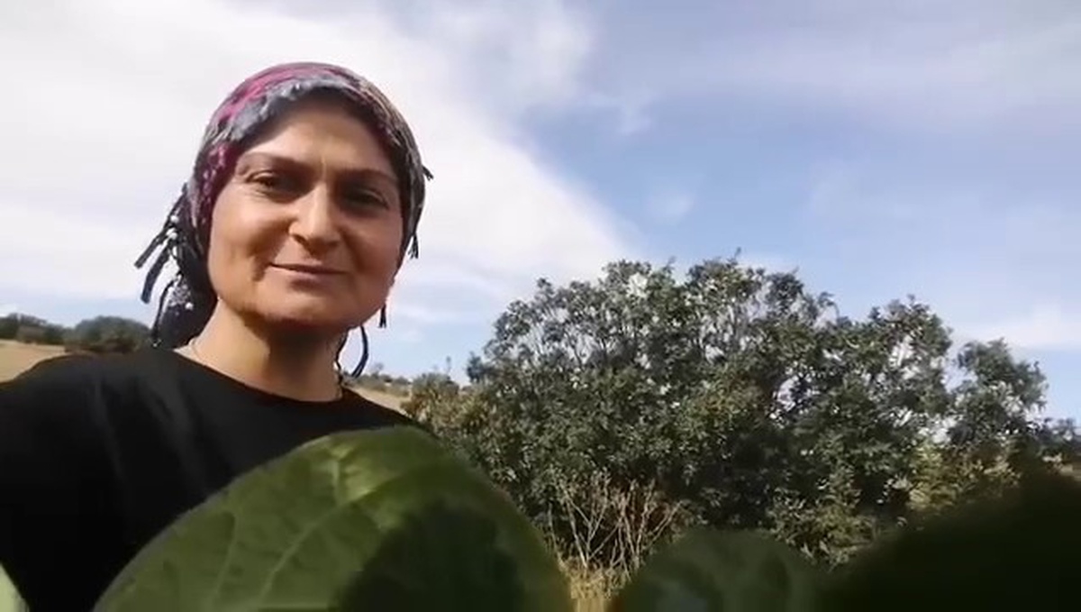 Sivas\'ta karpuz verilen tilki eşiyle döndü, ev sahibi yuvasına yemek götürdü