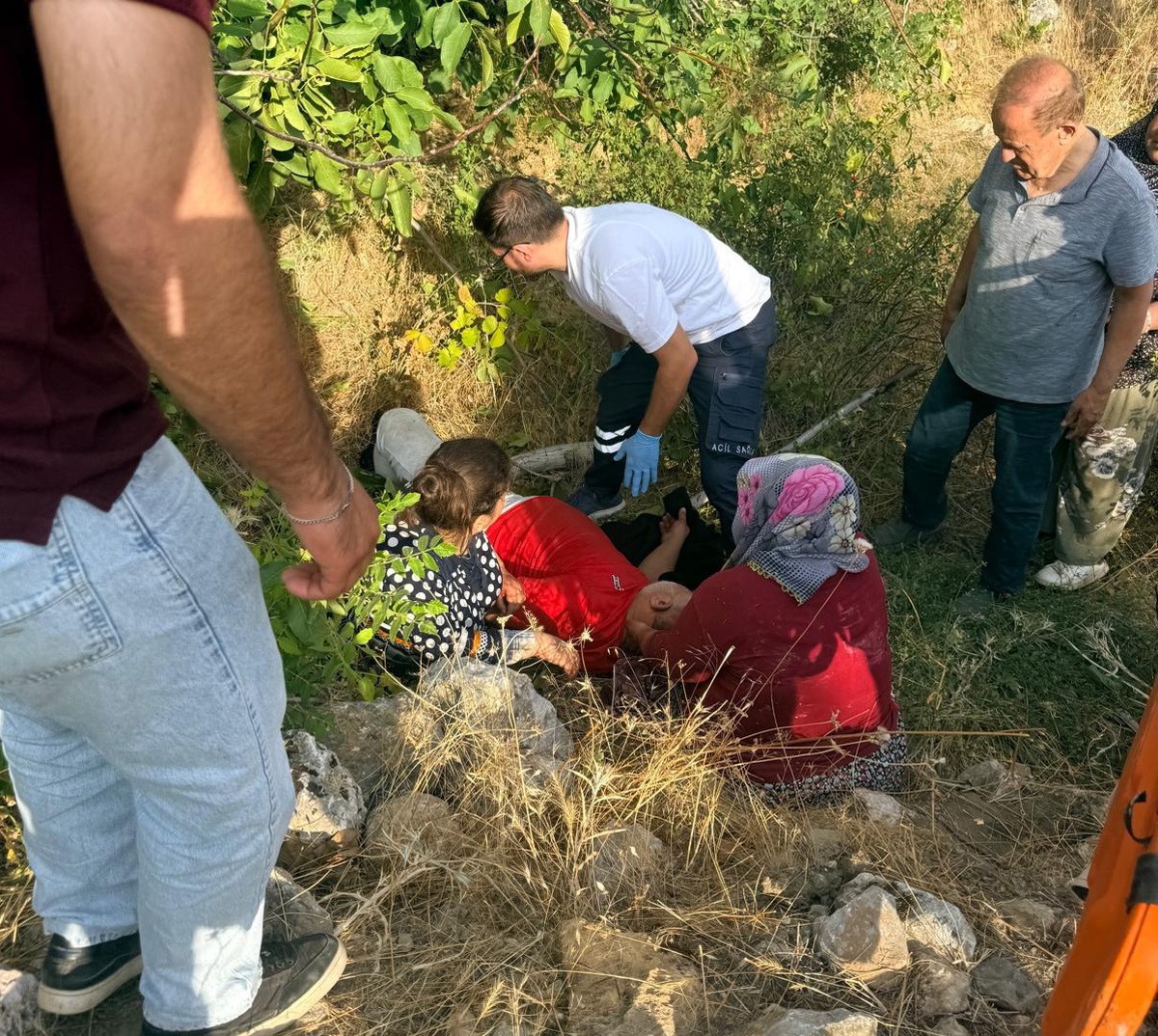 Adıyaman Gölbaşı\'nda ceviz toplarken ağaçtan düşen kişi yaralandı
