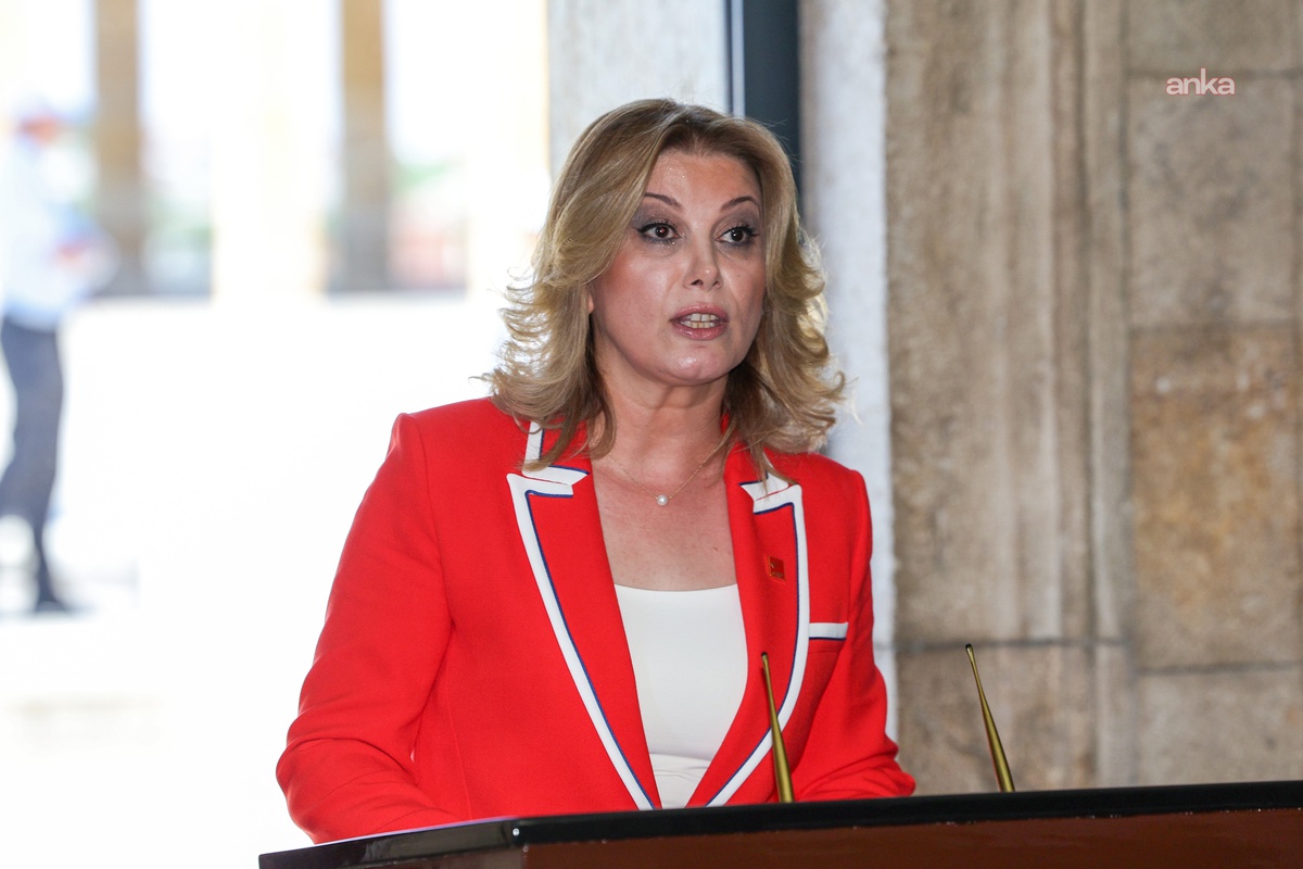 Asu Kaya, Osmaniye\'de okula silahla girilmesini ciddi güvenlik sorunu olarak niteledi