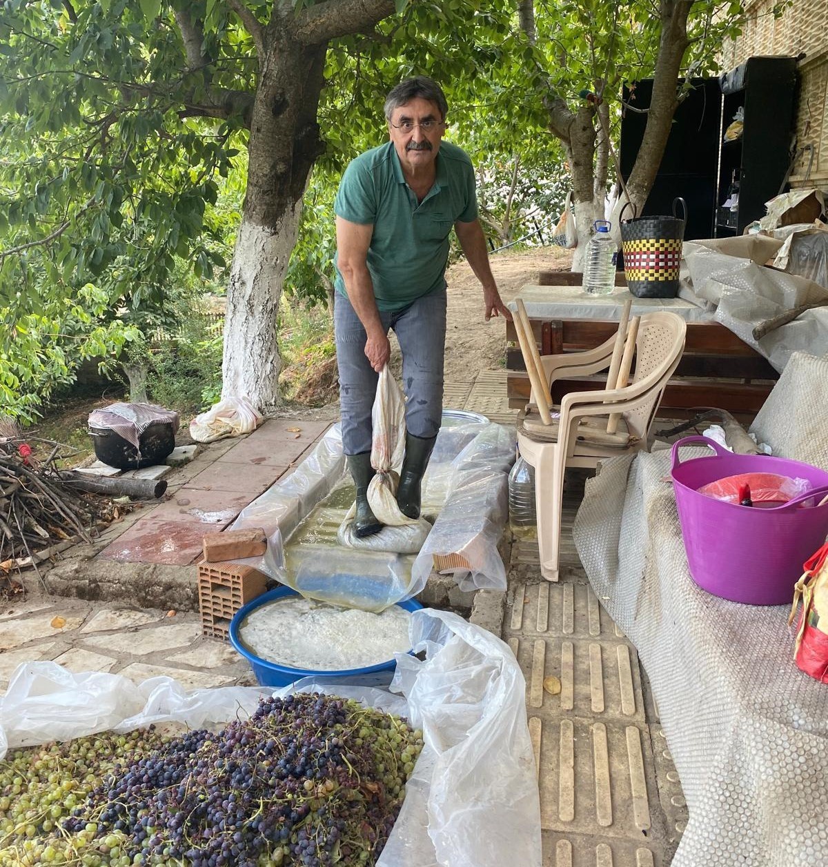 Aydın\'ın Karacasu ilçesinde üzümler asırlık yöntemle sıkılıp pekmeze dönüştürülüyor
