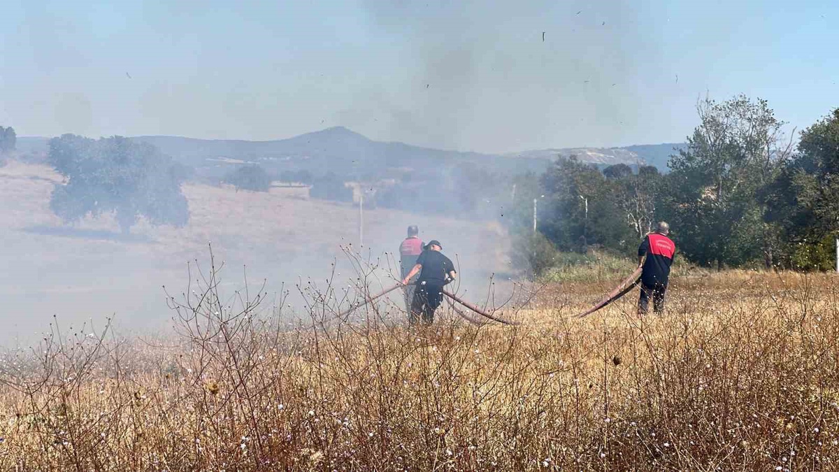 Çanakkale\'de tarlada çıkan ot yangını bakım merkezi yakınında büyümeden söndürüldü