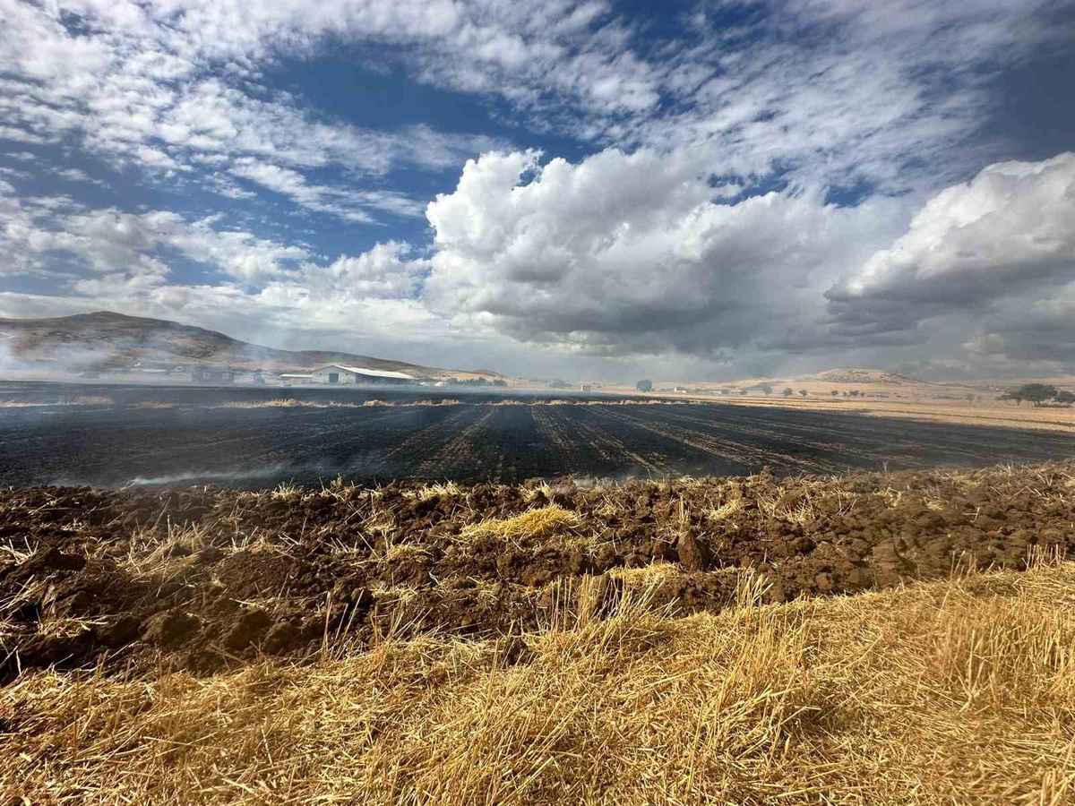 Elazığ Kovancılar\'da Karınca köyündeki anız yangını söndürüldü, inceleme başlatıldı