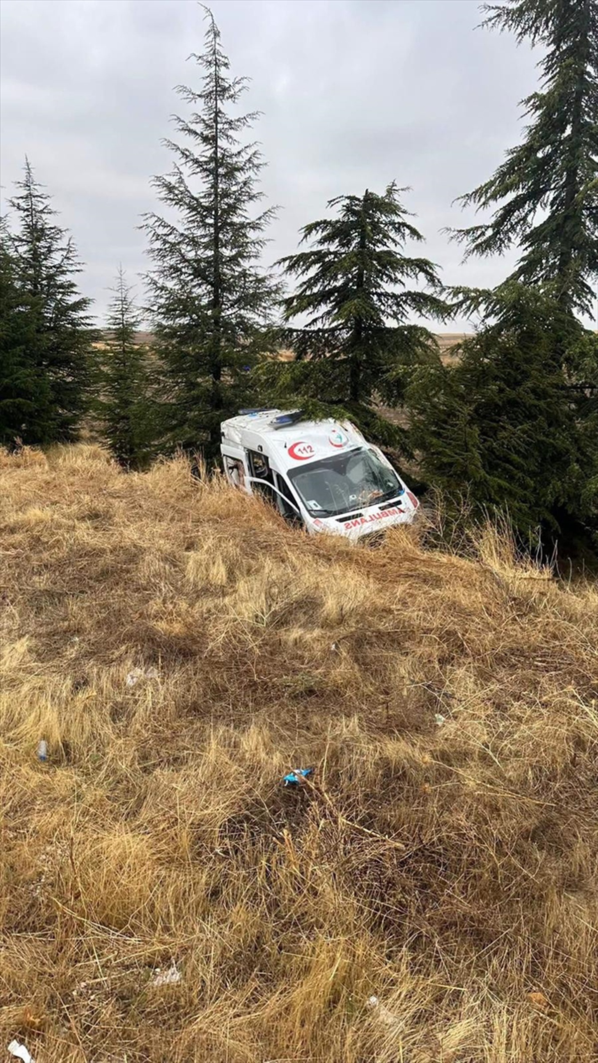 Eskişehir\'de Seyitgazi yolunda yoldan çıkan hasta nakli ambulansında 4 kişi yaralandı