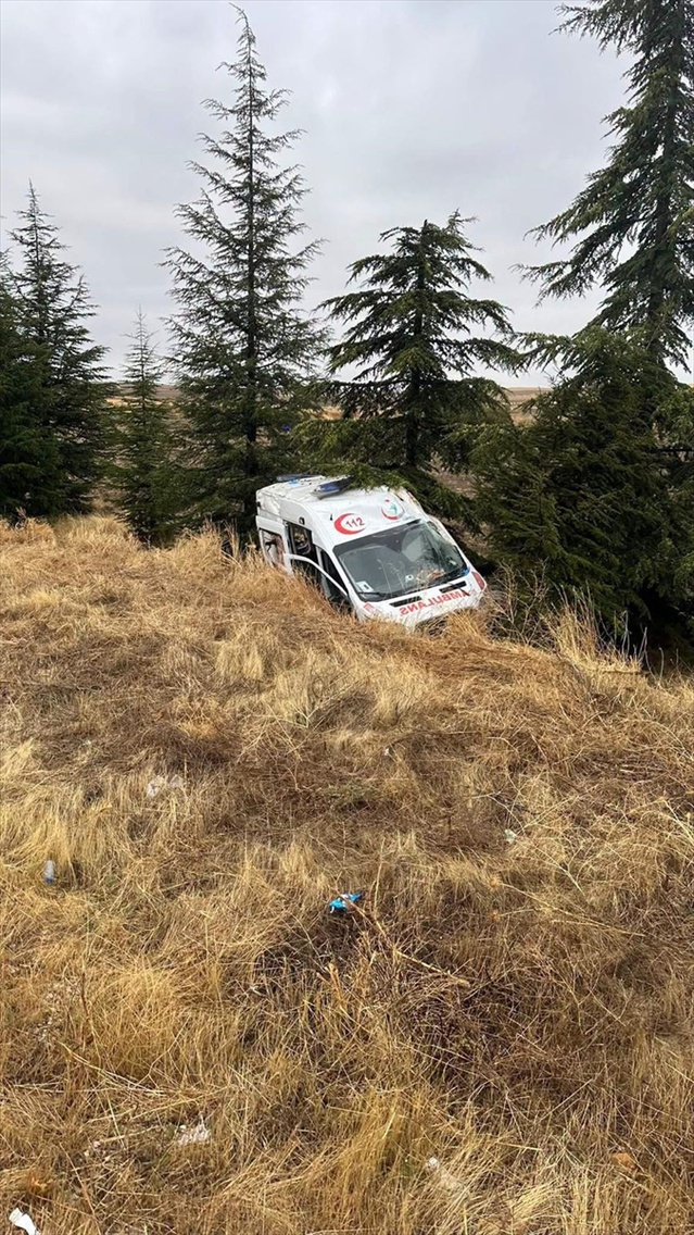 Eskişehir'de Seyitgazi yolunda yoldan çıkan hasta nakli ambulansında 4 kişi yaralandı