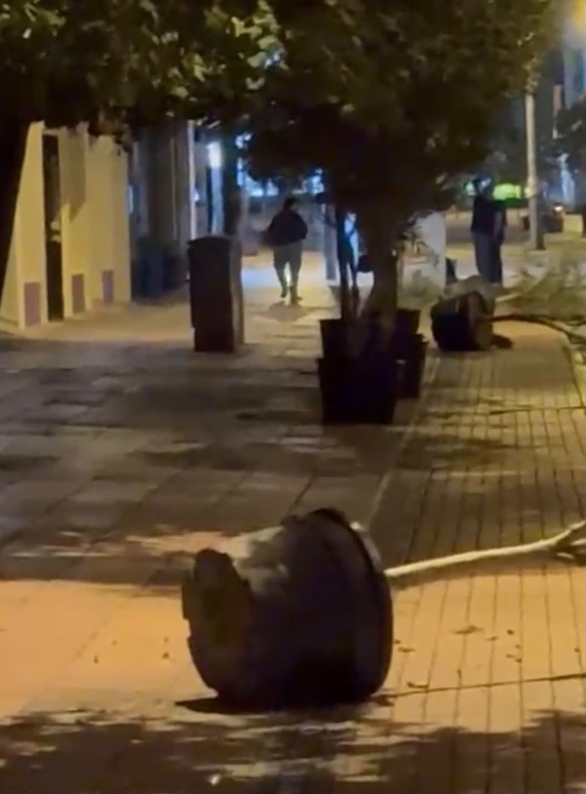 Eskişehir Tepebaşı\'nda saksıları deviren kişi cep telefonu kamerasına yakalandı