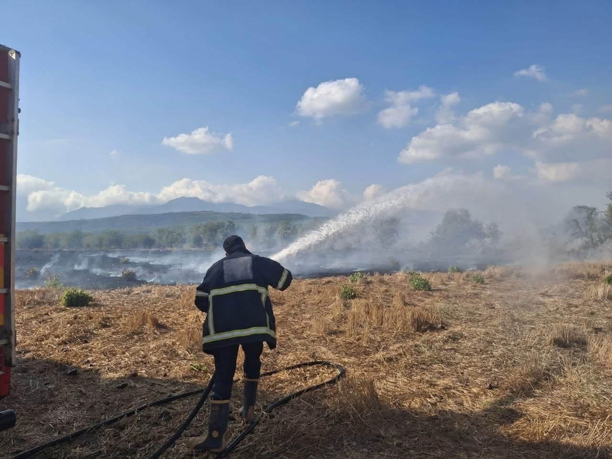 Hatay Hassa\'da zeytinlik ve anız yangını sirayet etmeden kontrol altına alındı