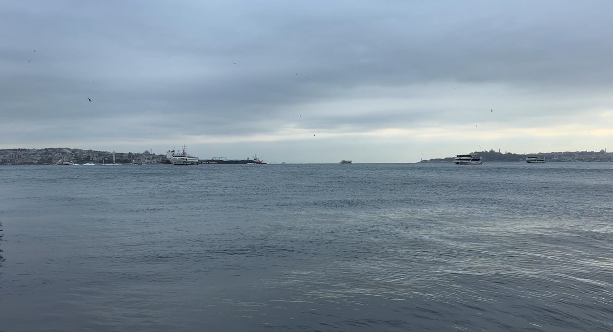 İstanbul\'da sağanak hayatı olumsuz etkiledi, Şişli\'de ağaçlar devrildi