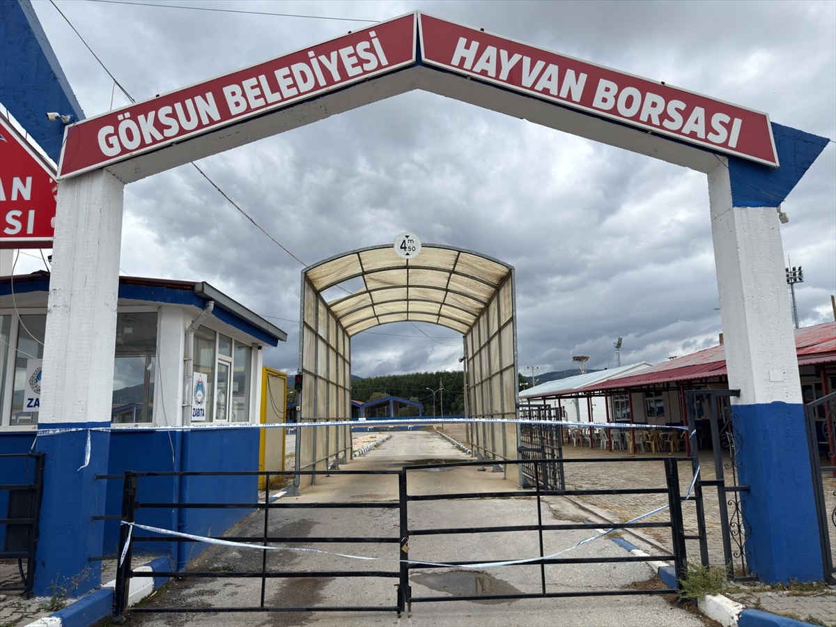 Kahramanmaraş Göksun\'da hayvan borsası şap nedeniyle ikinci bir emre kadar kapatıldı