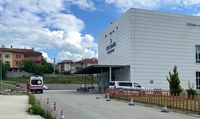 Kastamonu'da acı olay: Arı sokan orman işçisi hayatını kaybetti