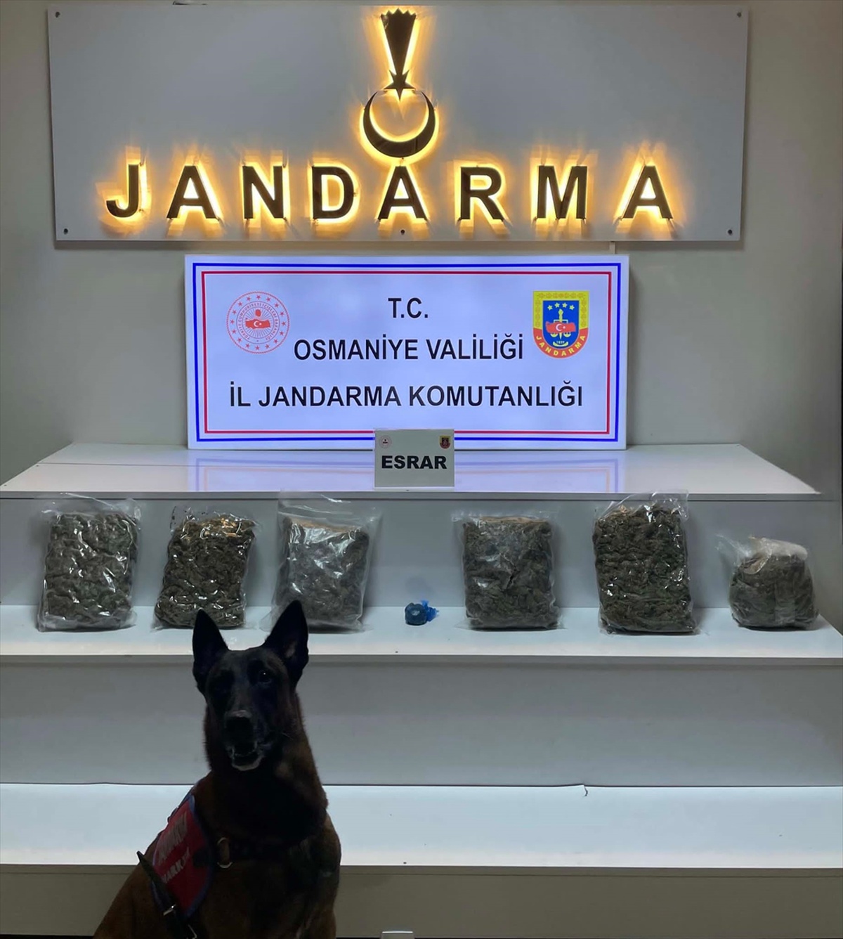 Jandarma Zorkun Yaylası\'ndaki evde 2 kilo 800 gram esrar buldu, 3 şüpheli tutuklandı