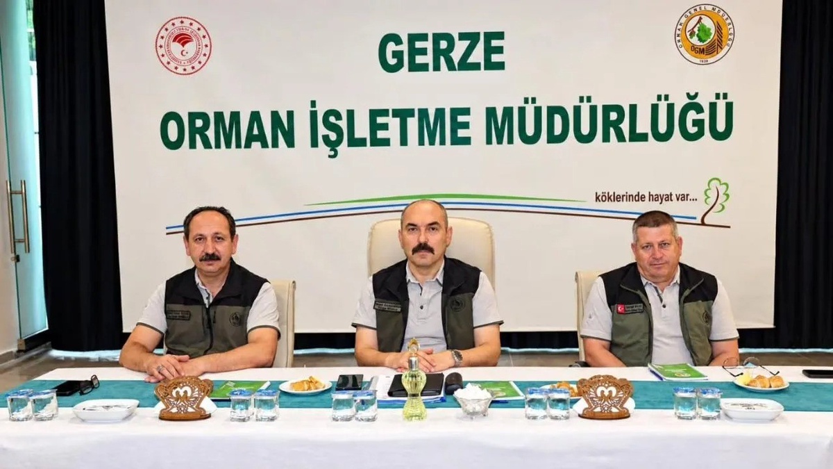 Sinop Orman Bölge Müdürlüğü, Gerze\'de kayın tensili ve damga planlamalarını görüştü
