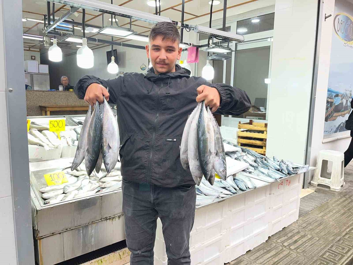 Balık sezonu Sinop\'ta fiyatları düşürdü: Palamut 50 liraya kadar indi