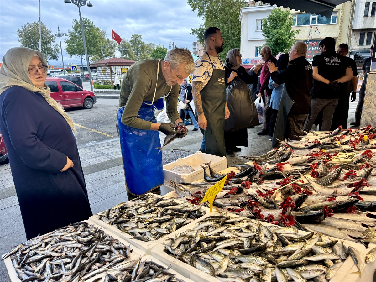 Trabzon\'da palamut tanesi 100-125 liradan satılıyor, balıkçılar taze olduğunu söyledi