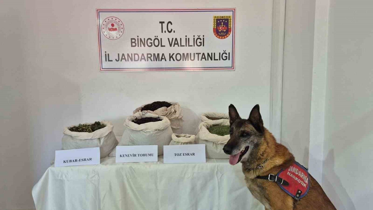 Bingöl\'de jandarma son bir haftada 2 şüpheliyi tutukladı, 22 olaya müdahale etti