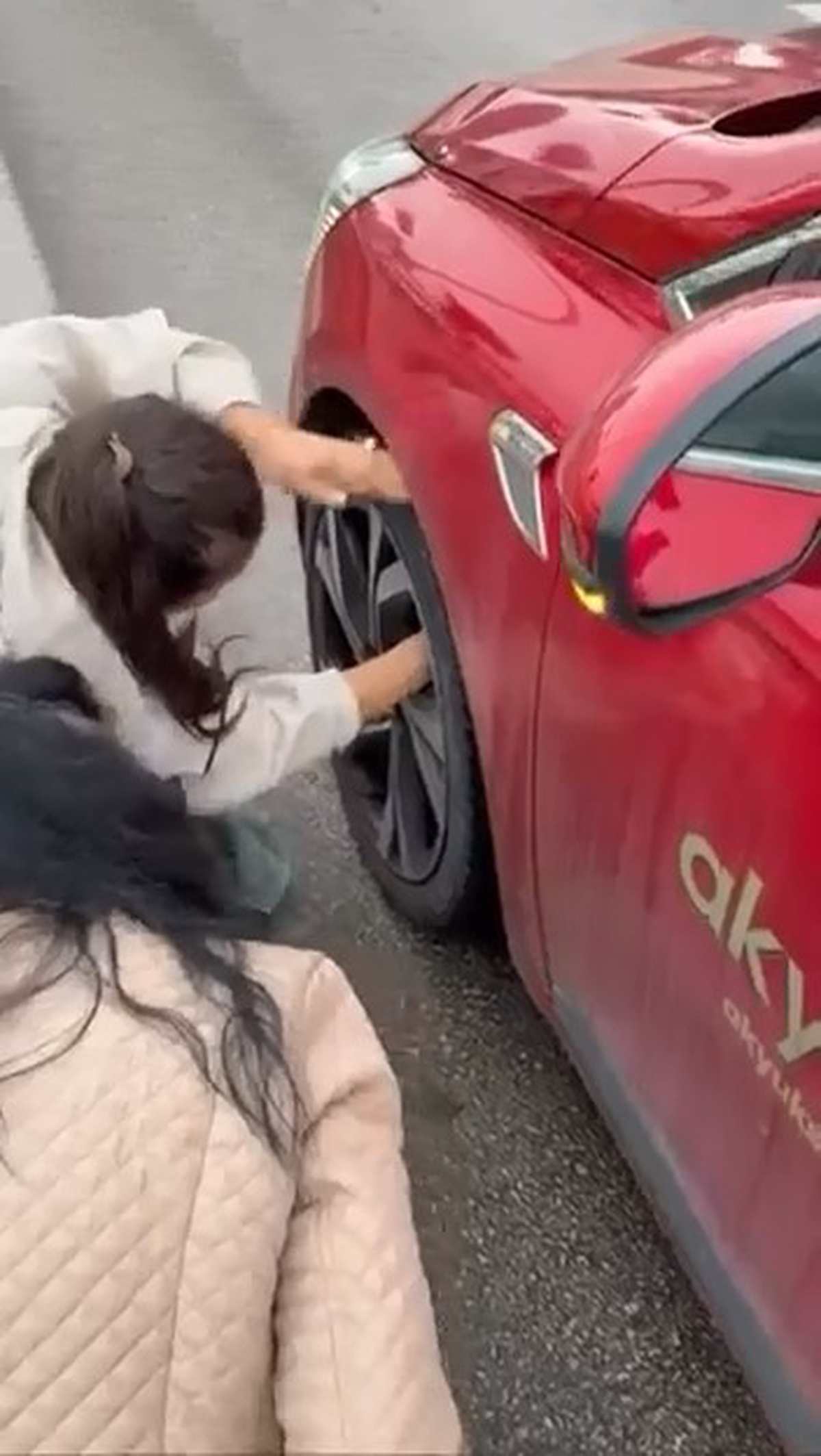 Bursa\'da yola çıkan yavru kedi, sürücünün uğraşıyla aracın tekerleğinden kurtarıldı