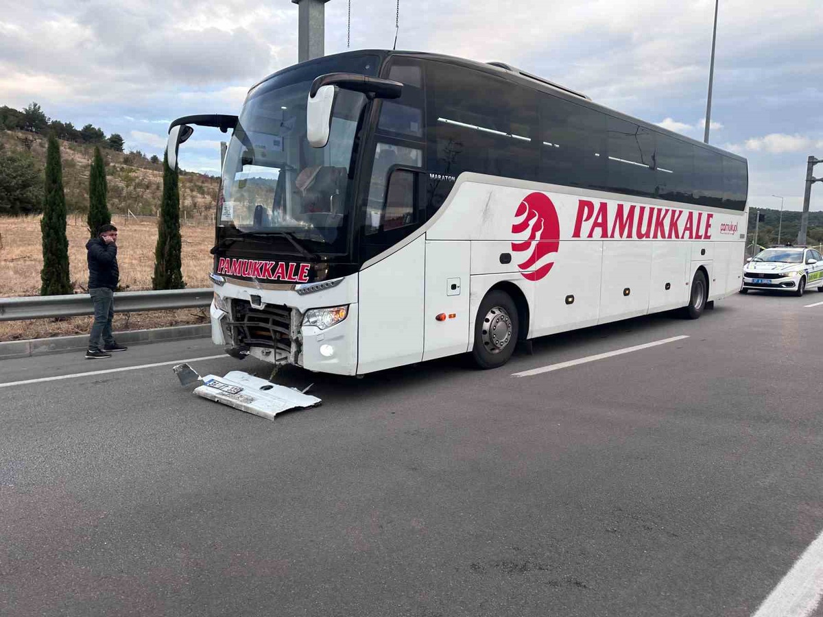 Çanakkale Ayvacık\'ta otobüsün çarptığı otomobilde 2 kişi öldü, 3 köpek telef oldu