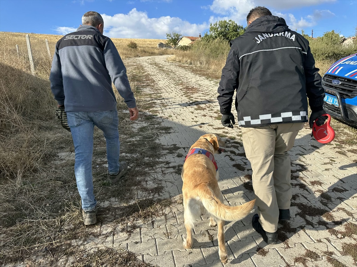 Çorum Alaca\'da kaybolan Alzheimer hastası 78 yaşındaki kadına 15 km uzakta ulaşıldı